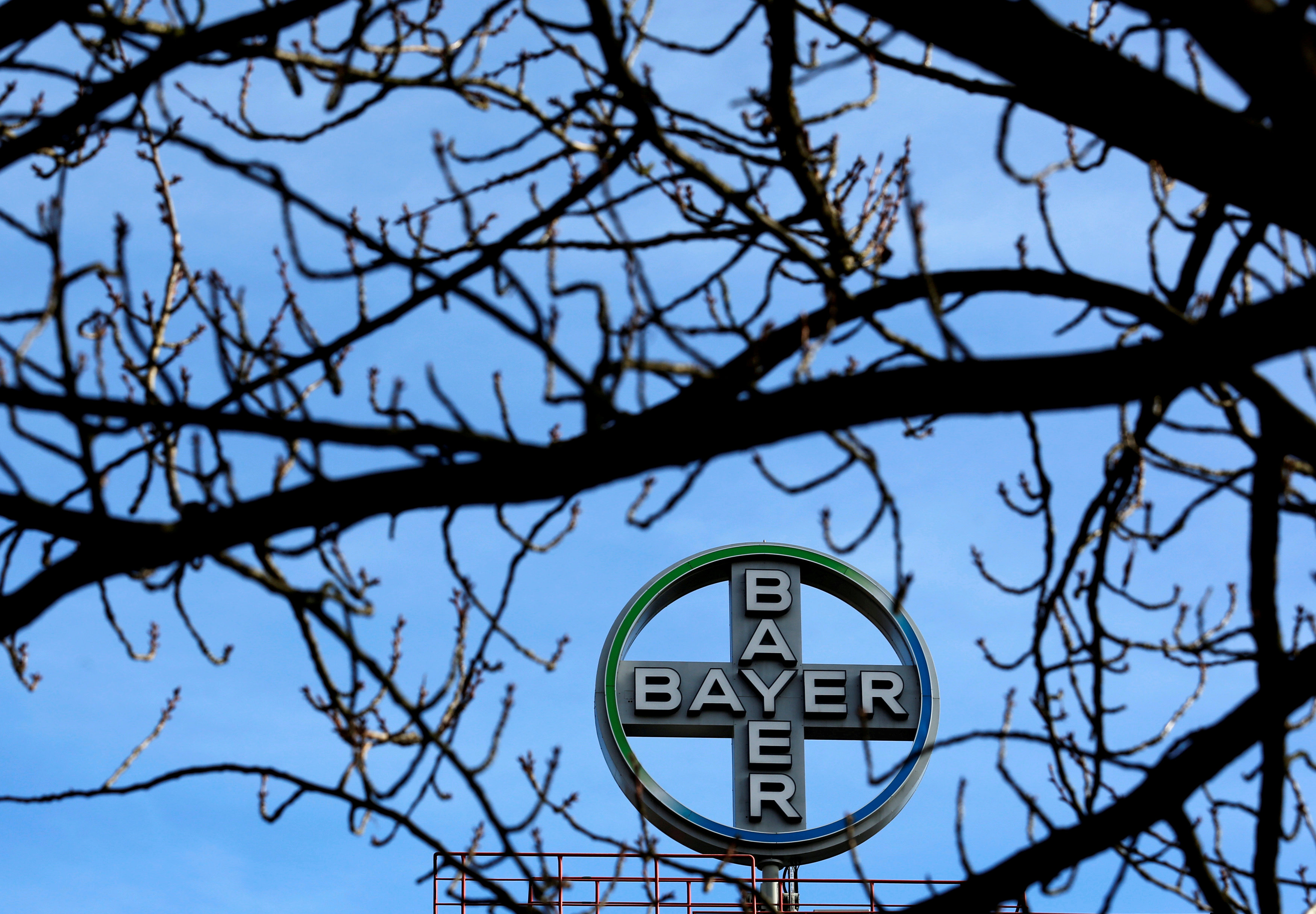 Bayer wins US nod for Monsanto deal to create agriculture giant