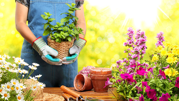 Ideas to help you reap big rewards from your garden