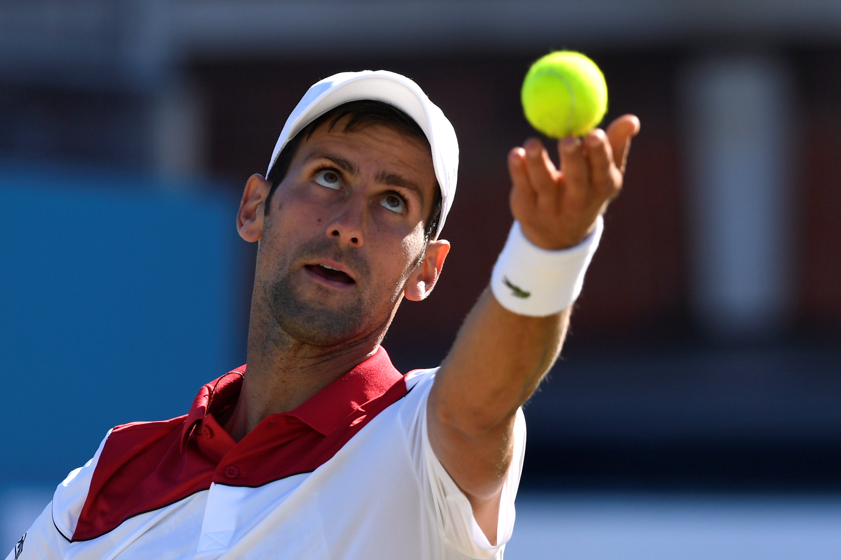 Tennis: No limits says Djokovic as he reaches 800 wins milestone