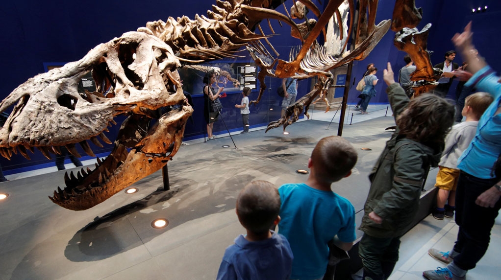 Real-life 67-million year-old T.rex goes on show in France