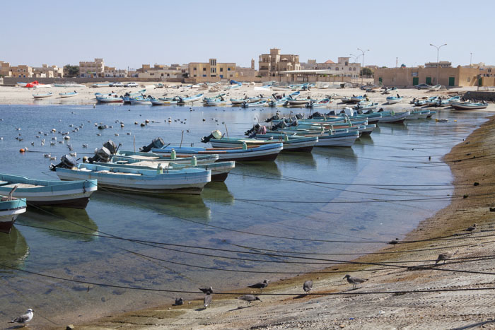 Explore the castle and the fishermen’s port in Mirbat