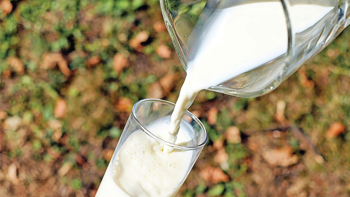 Room for dairy in Oman to grow, reveals survey