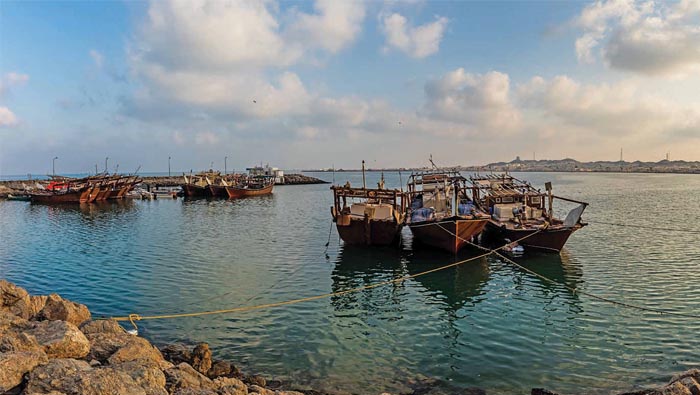 In pictures: Rich biodiversity sets Oman's Masirah Island apart