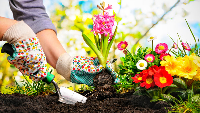4 ways gardening is good for you