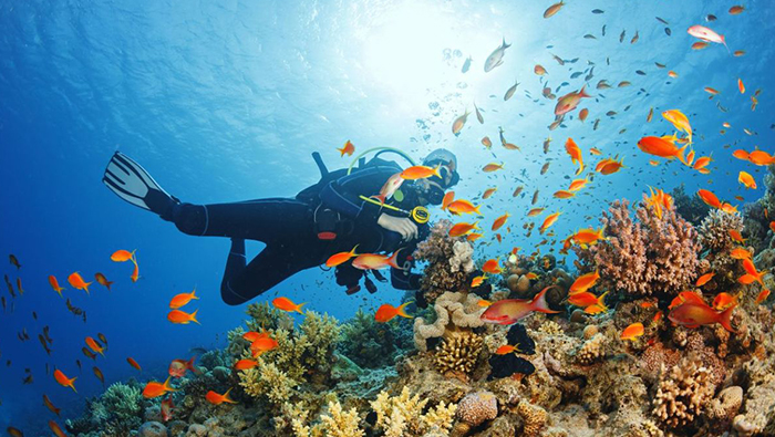 Omran announces new diving centre in Oman
