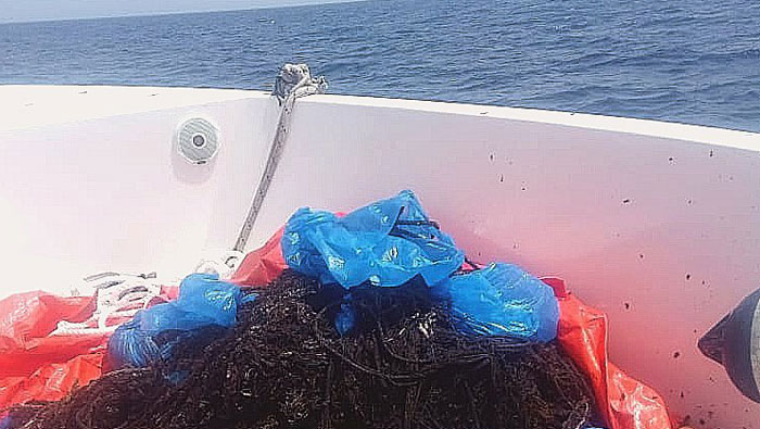 Campaign launched to clean Oman's coral reefs