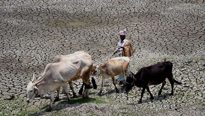 In India's parched Bundelkhand, drought brings a tide of migration