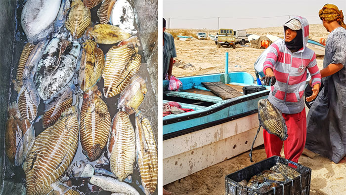 Fishing season starts in Oman with a warning