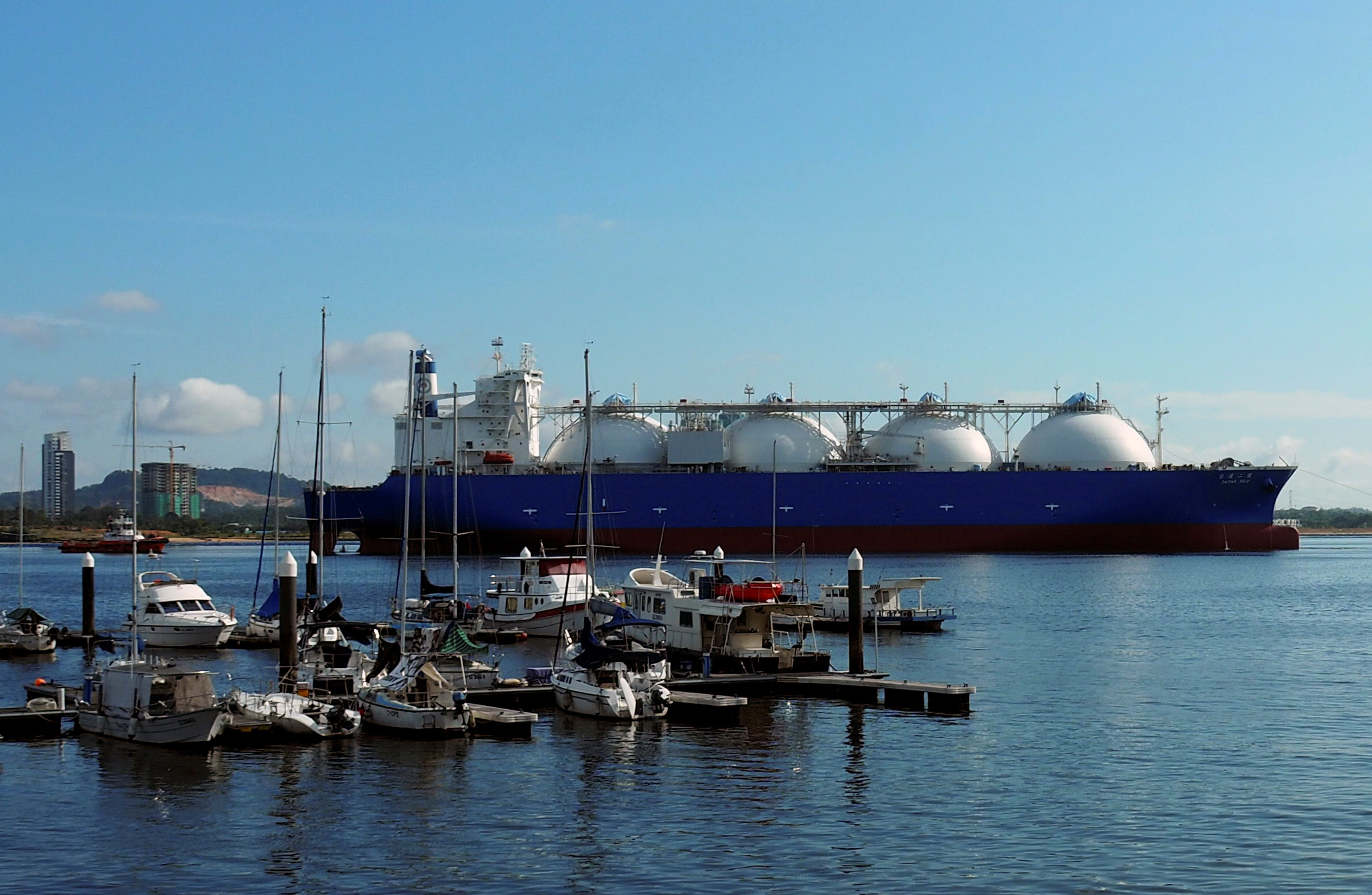 LNG prices for November soften after earlier strong weeks