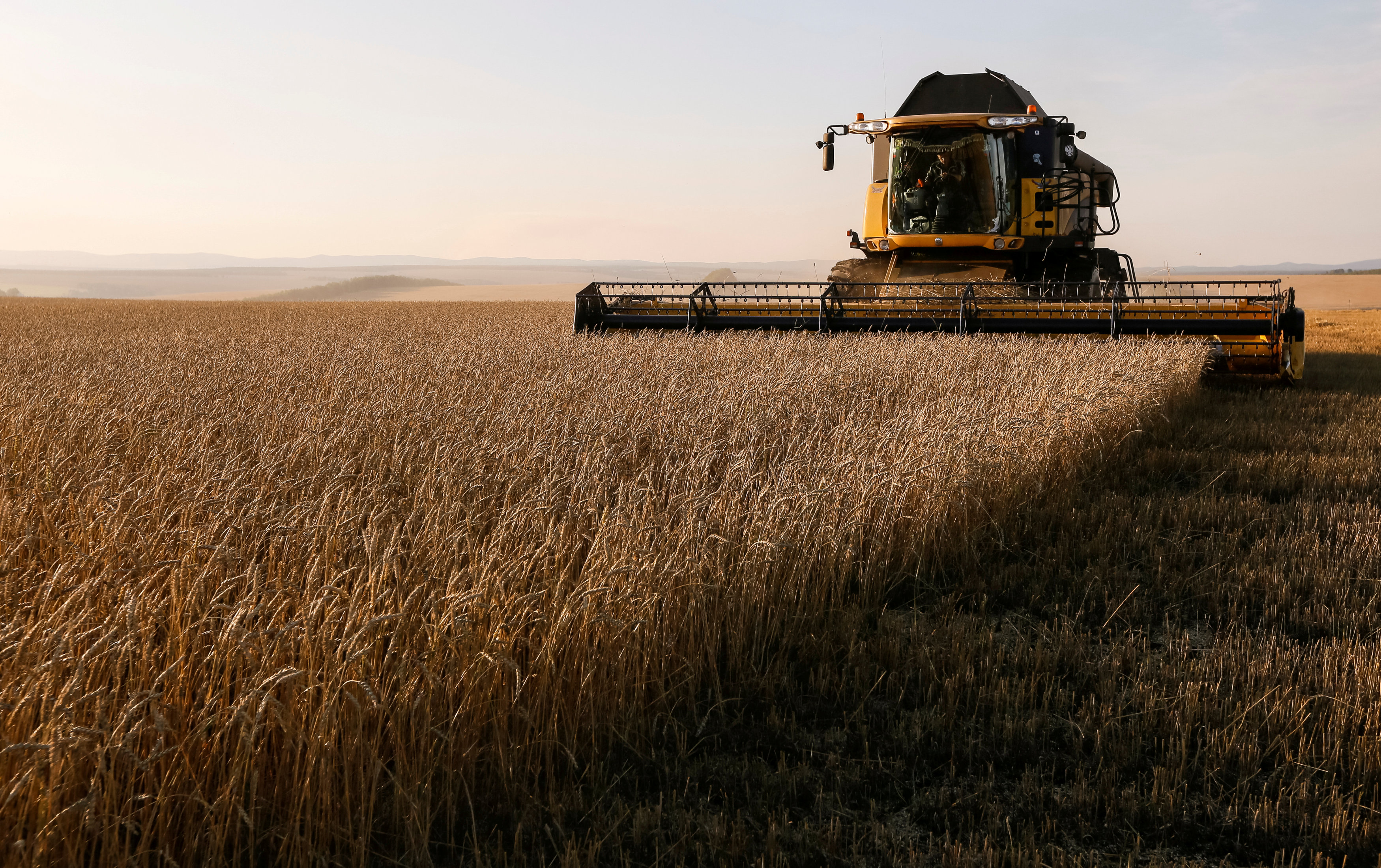 Russian agriculture. Зерновые поля России. Выращивание зерновых. Уборка посевных. Пшеничные поля России уборка.