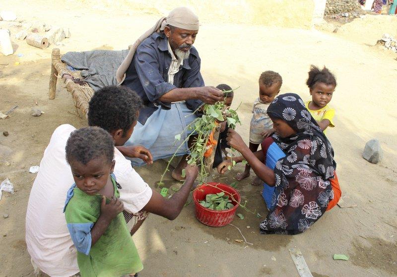 تقرير غربي صادم حول اليمن.. "يأكلون أوراق الشجر"