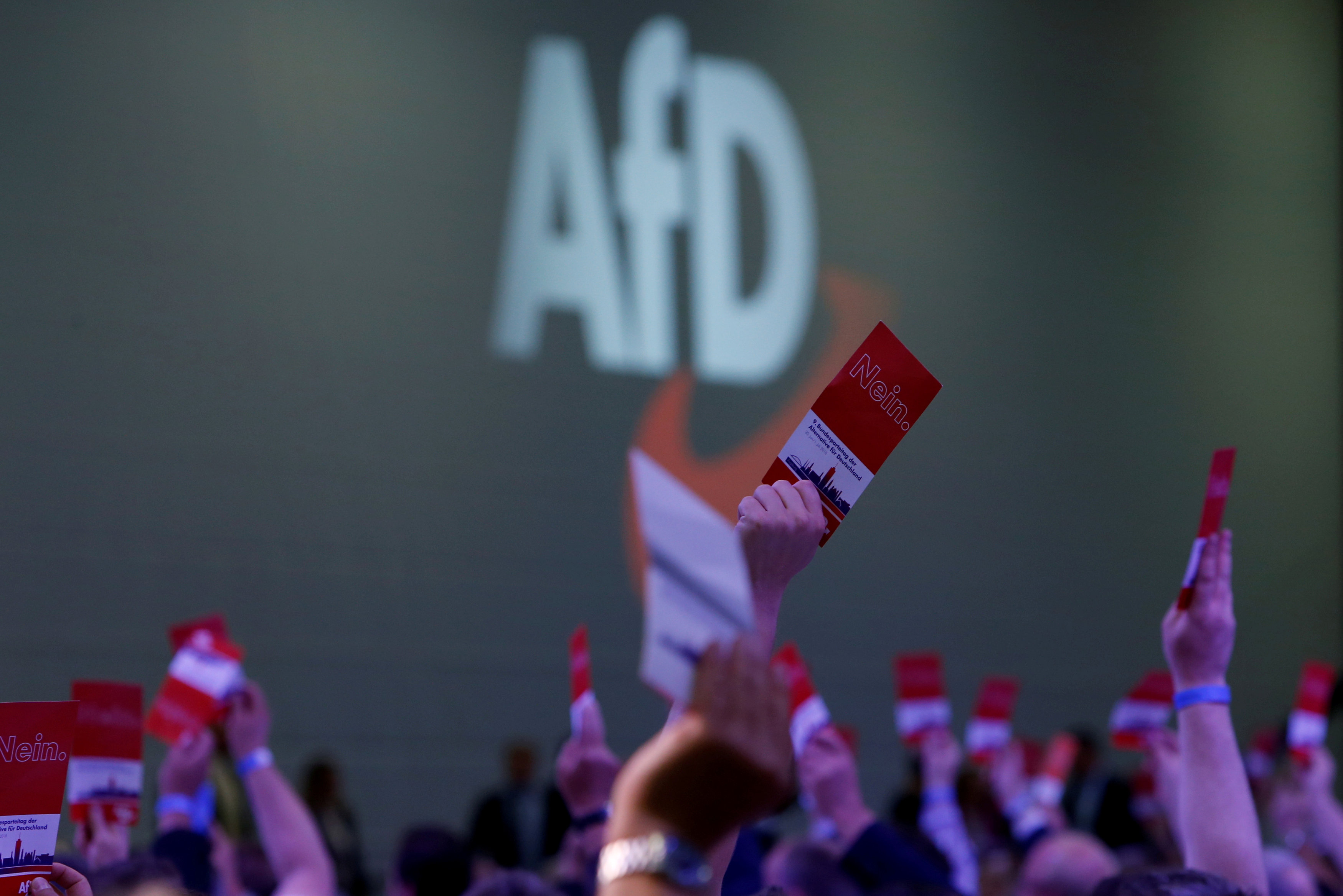Germany's far-right AfD moves against handful of radicals