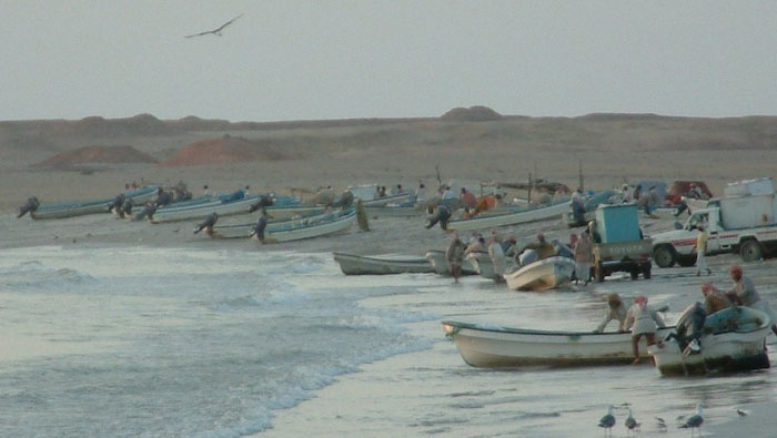 ​24 illegal expat fishermen arrested in Oman