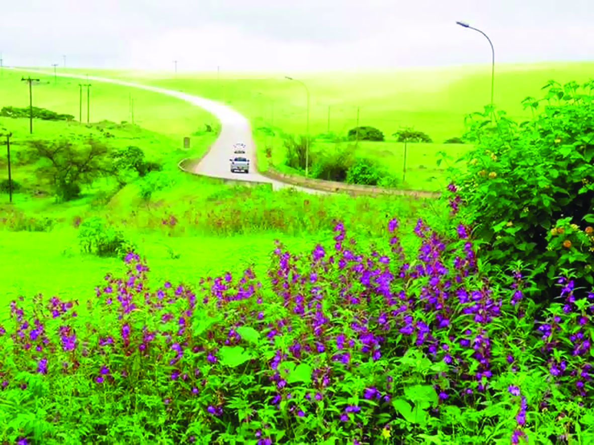 موسم الصربفصل جديد من الجمال