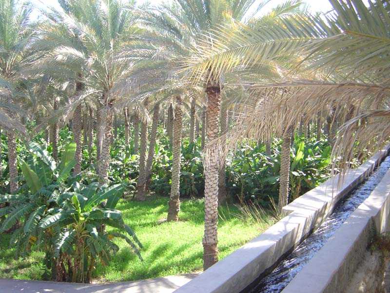 تعرف على نشرة الأحوال الجوية لهذا اليوم