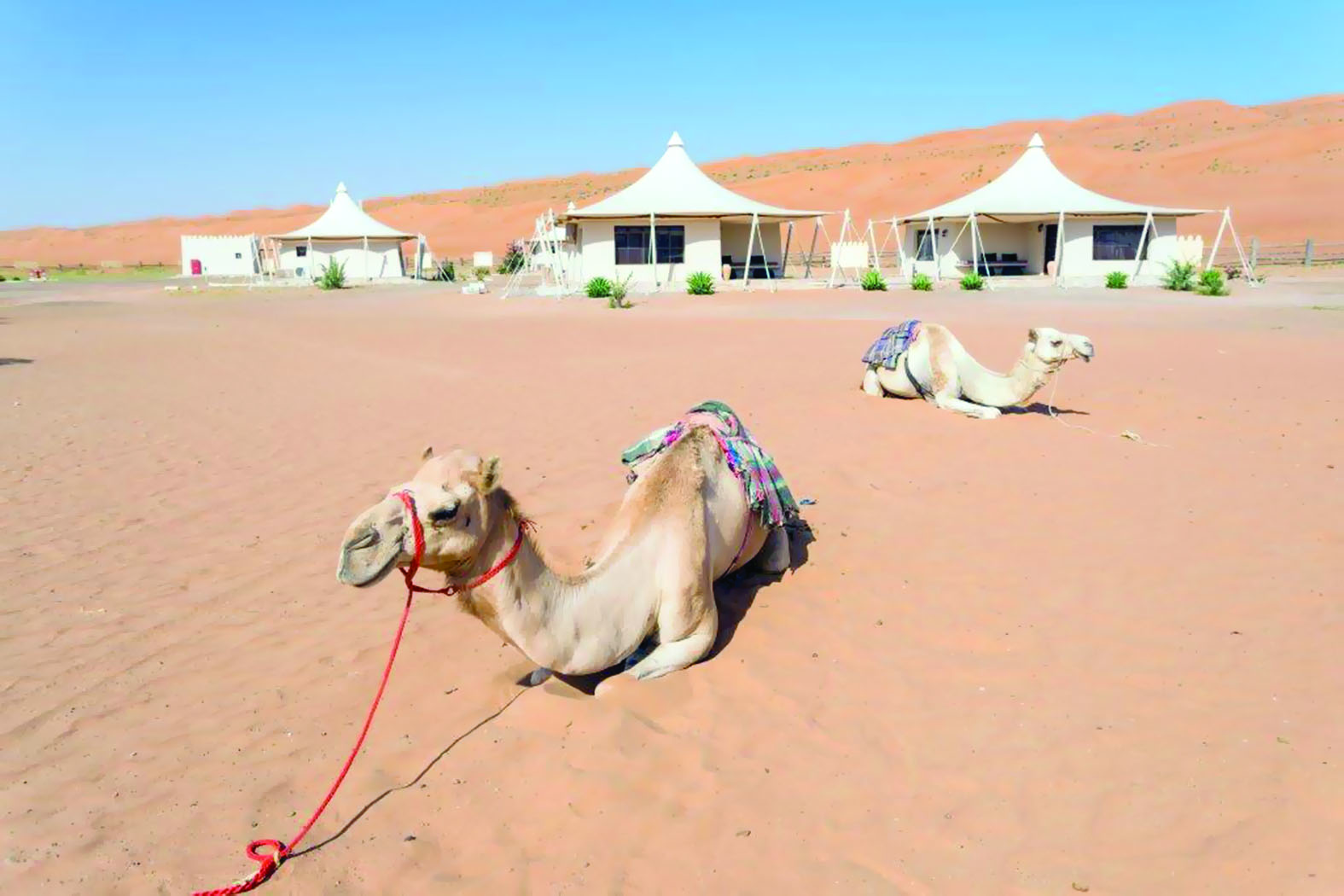 المخيمات السياحية.. جاهزة للموسم الشتوي