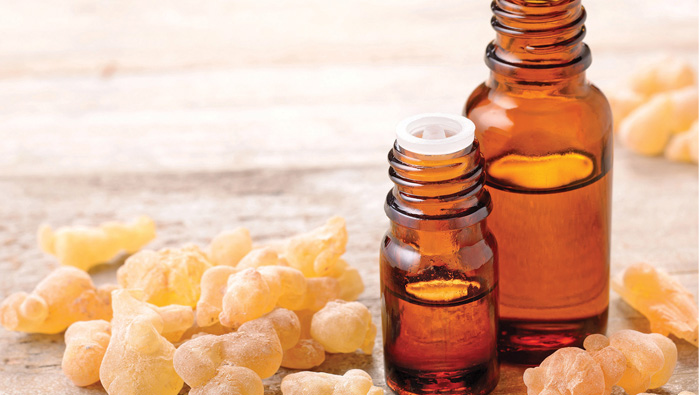 Meeting on medicinal value of Frankincense in Oman
