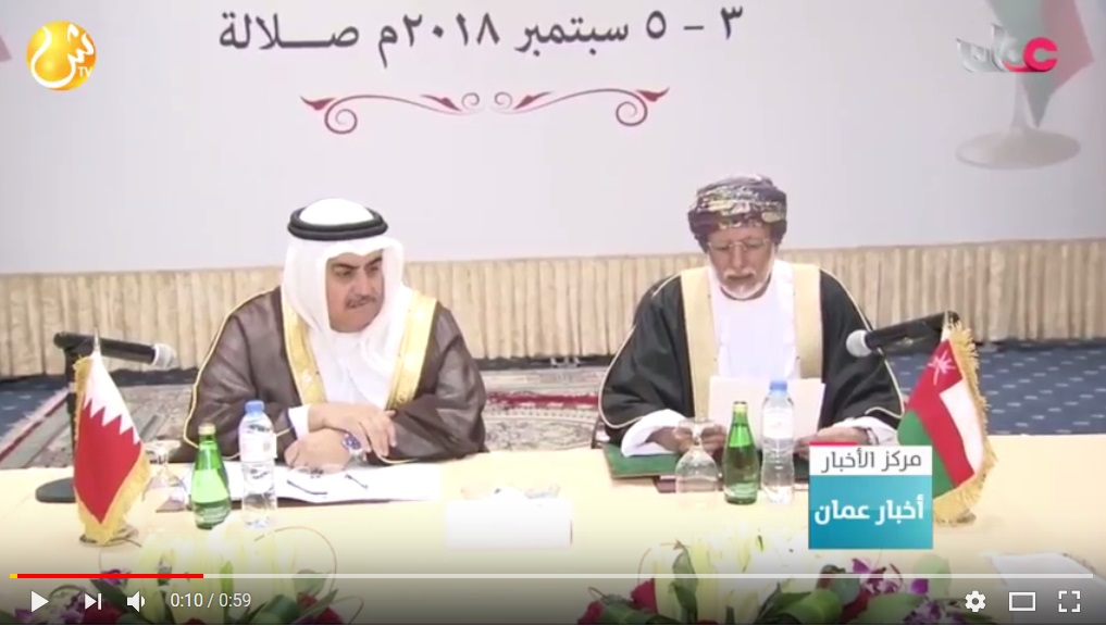 ابن علوي: دول مجلس التعاون قادرة على تجاوز الصعاب والتحديات الراهن