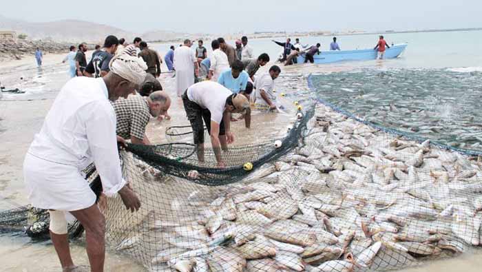 Ministry unveils strategy to develop fishing fleet in Oman