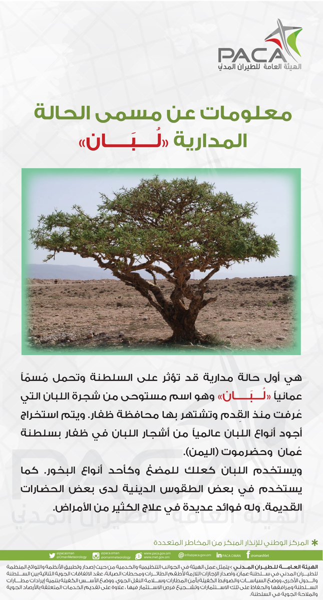 معلومات عن مسمى الحالة المدارية "لبان"
