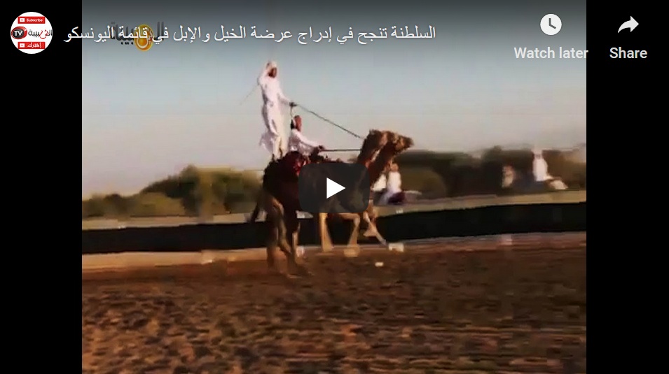 بالفيديو.. ماذا يعني إدراج عرضة الخيل والإبل في قائمة اليونسكو؟‎