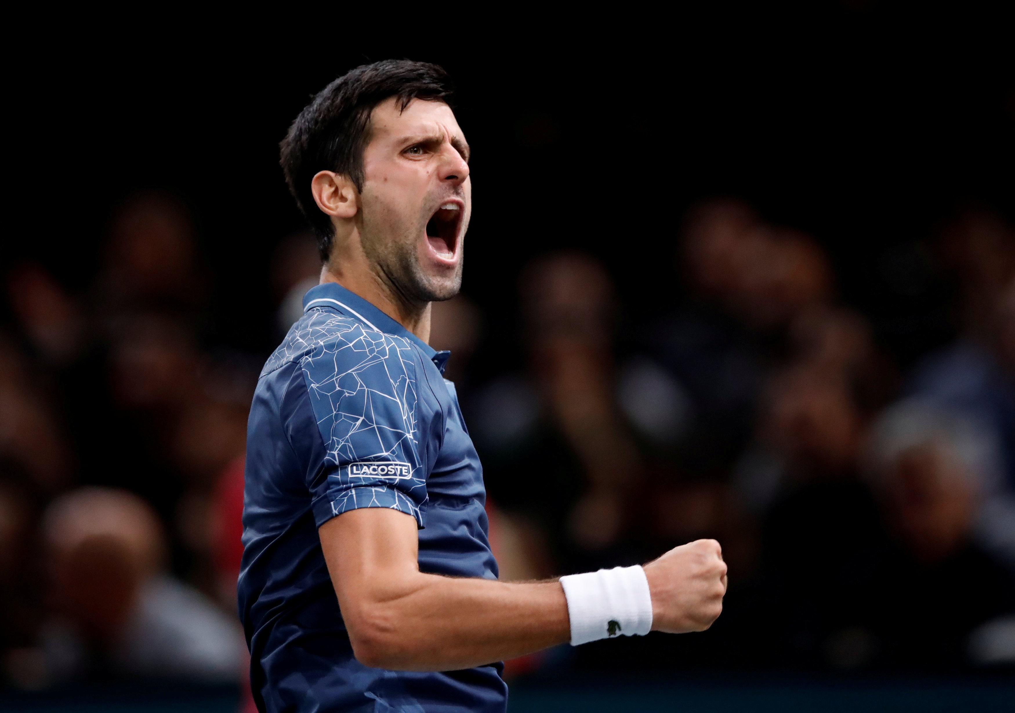 Tennis: Djokovic ousts Federer in epic Paris semifinal