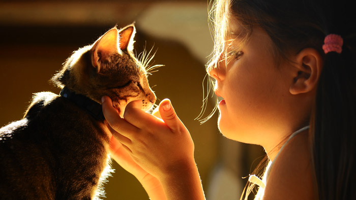 Important facts to teach children about pet ownership