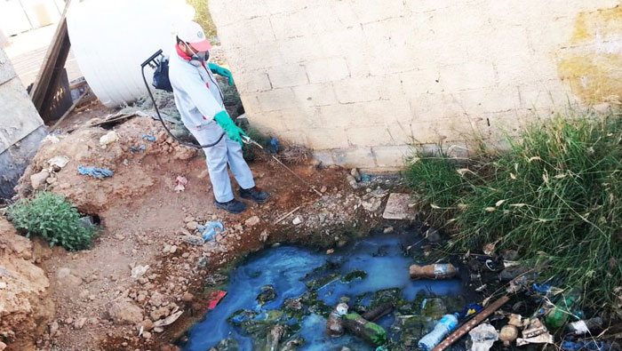 Municipality continues tackling dengue-causing mosquitoes in Oman