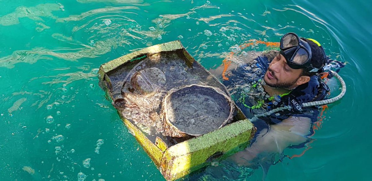 غواصون ينظفون الشعاب المرجانية بمحافظة مسندم