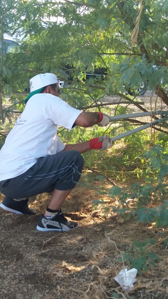 بلدية مسقط تنفذ حملة لإزالة "المسكيت"