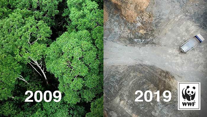 Global charities use #10YearChallenge to highlight environmental issues