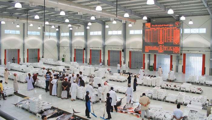 Over 20 per cent rise in fish catch in Oman