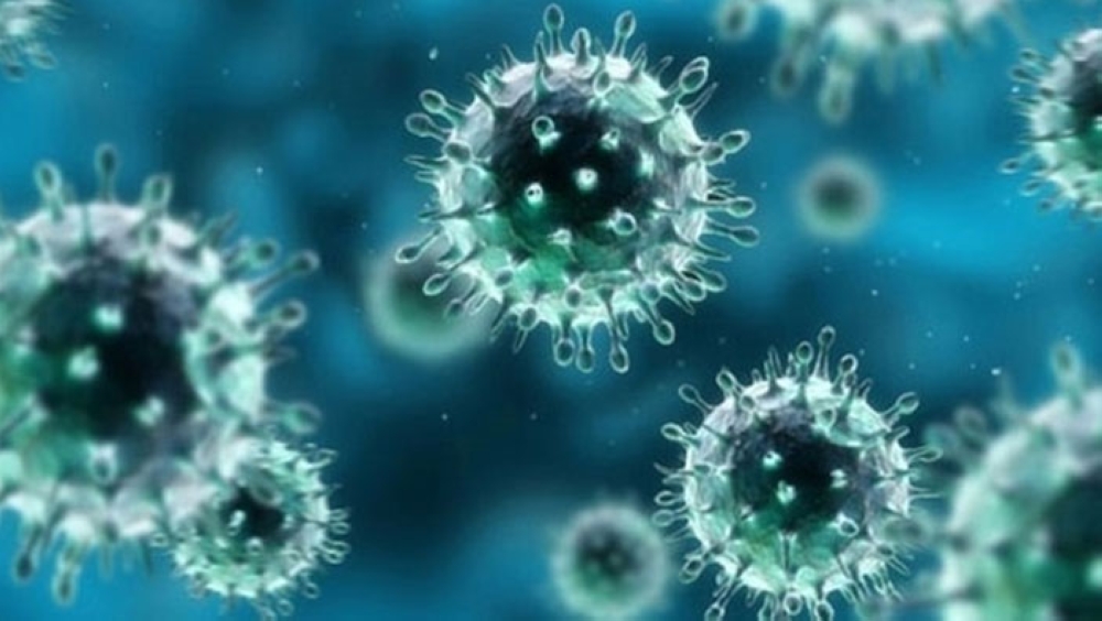 Four new MERS cases detected in Oman