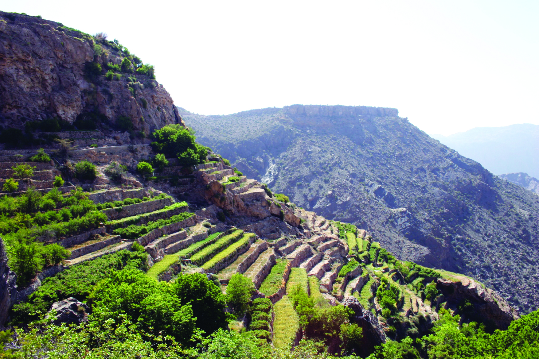 Over 225,000 people visited Jebel Akhdar in 2018