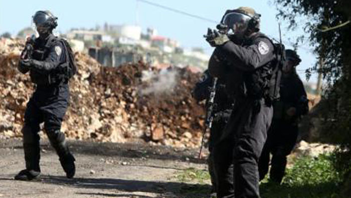 Israeli forces arrested 16 Palestinians in West Bank