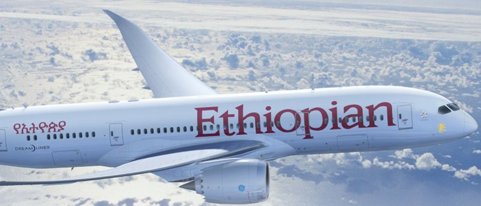 Ethiopian Airlines grounds all Boeing 737-8 Max planes following crash