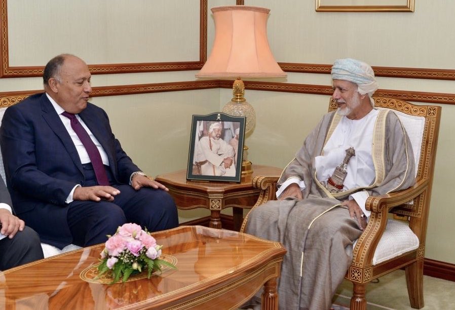 Alawi meets with Egypt’s Foreign Minister