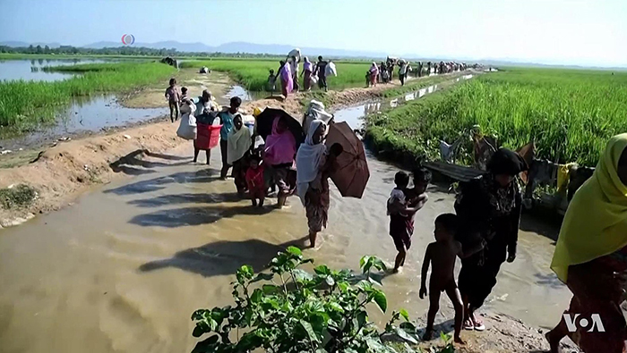 Bangladesh refuses to grant asylum to any more Rohingya