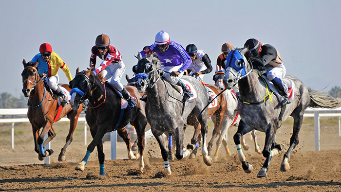 Royal Cavalry riders to display their skills at Al Rahba Racecourse