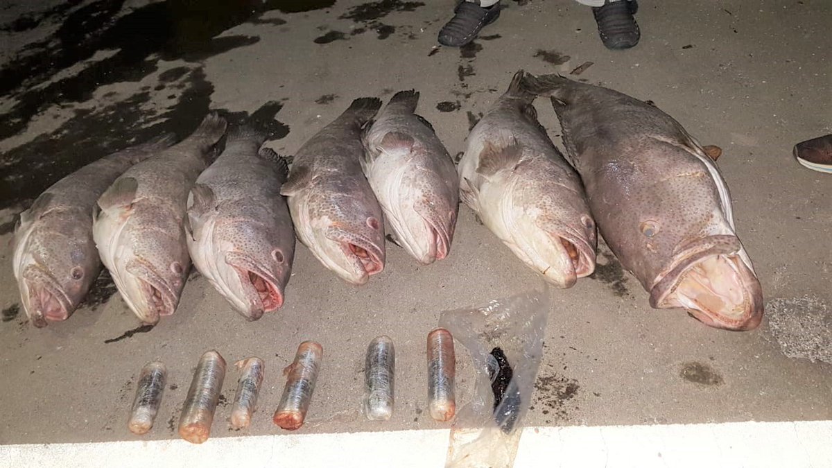 Fishy business: Here&amp;#39;s how drugs are smuggled in Oman - Times of Oman
