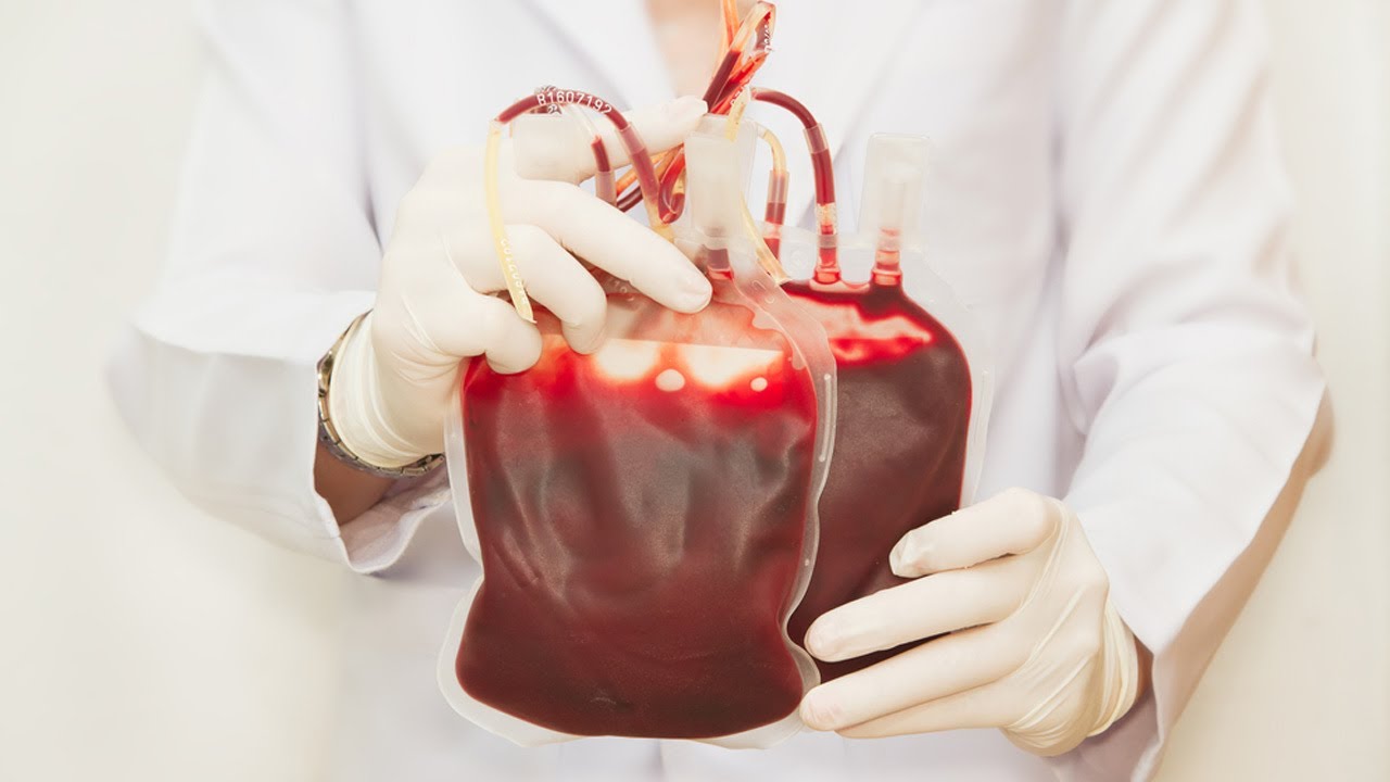 Here's how much blood Oman needs donated every day