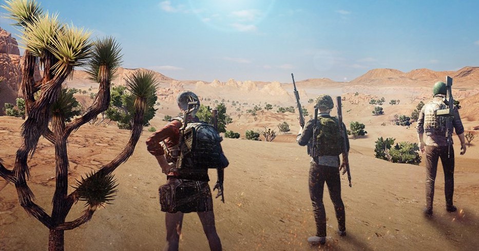 Gamers battle online over whether to ban PUBG in Oman