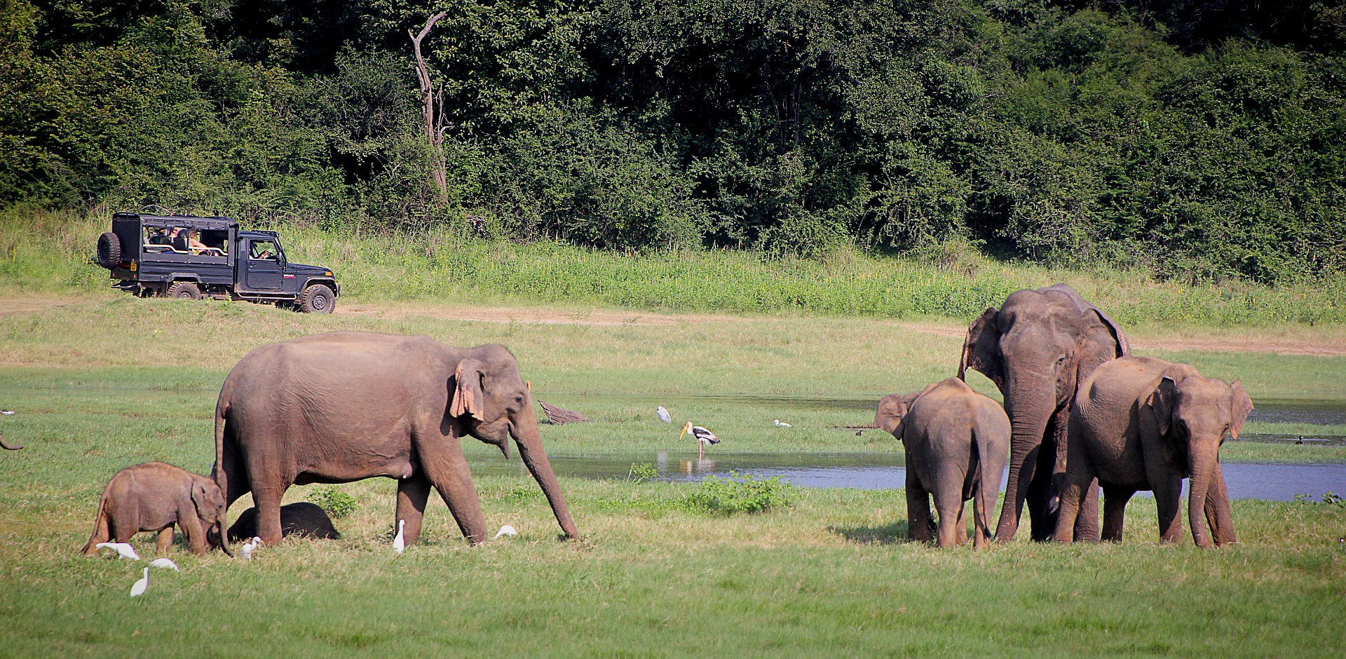 Sri Lanka tourist arrivals expected to drop by 30%