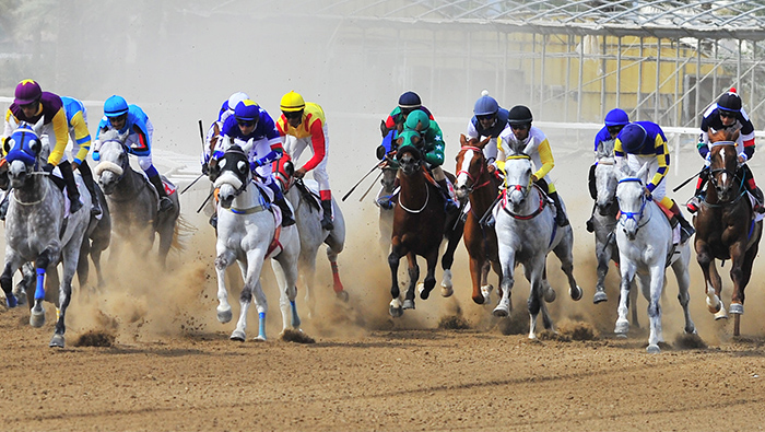 Horse Race organised at Al Rahba Racecourse