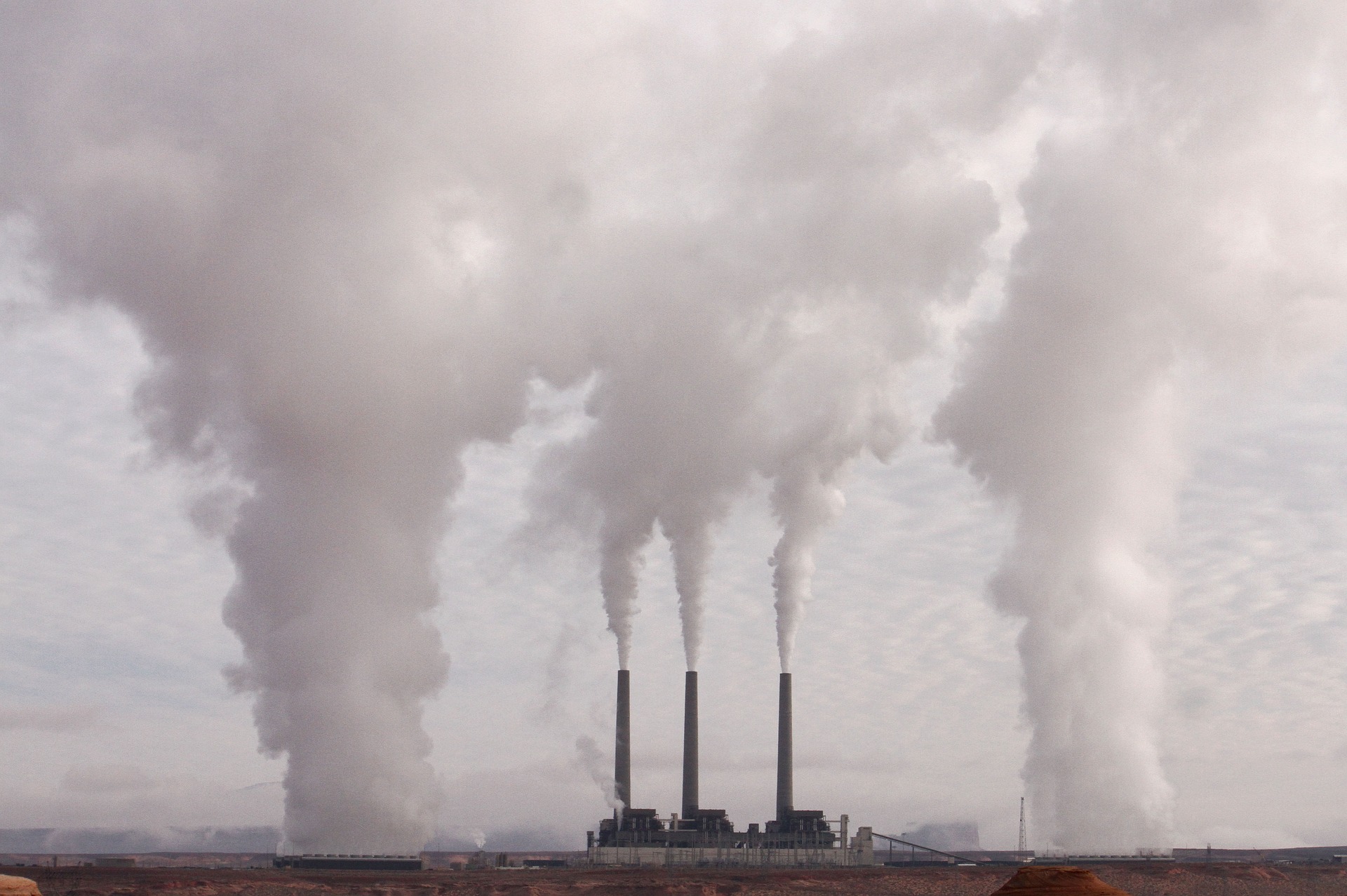 Global CO2 emissions hit record high: IEA