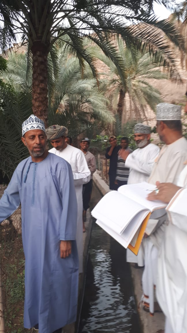 بدء طناء النخيل في العامرات