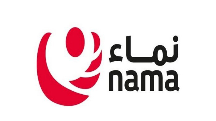 Nama Group to highlight achievements of 2018