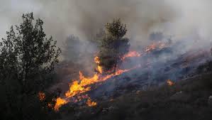 إسرائيل تحترق .. حرائق كبيرة تندلع بالمستوطنات بسبب موجة الحر