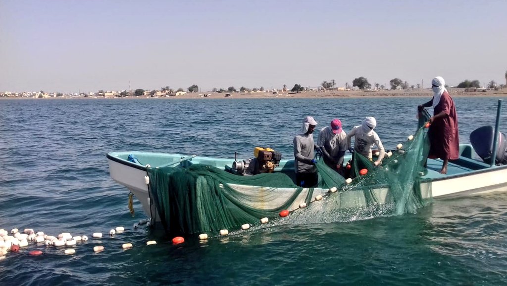 ​Expat workers in Oman arrested for fishing method violations