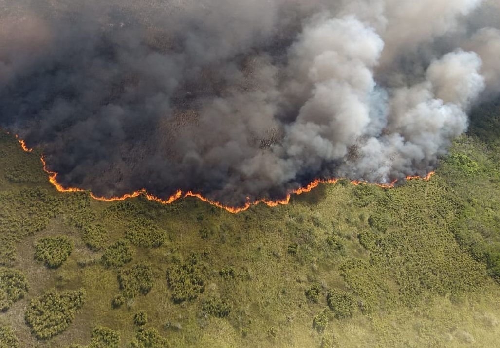 Wildfire devastates UNESCO-recognised biosphere in Mexico